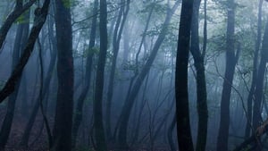 store/s/abcddbeb-61d8-4e49-a6cf-d5cec27533c7.jpg