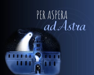 store/s/ae29de1e-0cd3-4cec-a1f7-e9ea28d2a6c0.jpg
