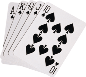 store/s/b0003275-a98c-44e1-8c61-8bae25e0d3f0.png