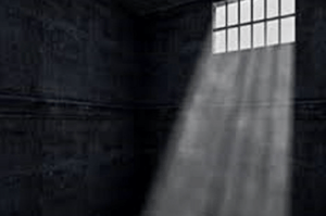 store/s/b13ff191-5e2e-4a7d-bc22-17b5a7b432ed.png