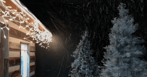store/s/b1d71c3e-44ec-44a0-a7c8-3fa51dd30ff4.png