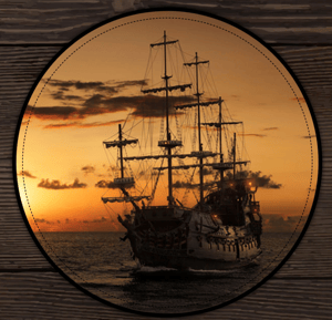 store/s/b2471a5e-7df2-4f3b-a5b2-6dca1a84038f.png