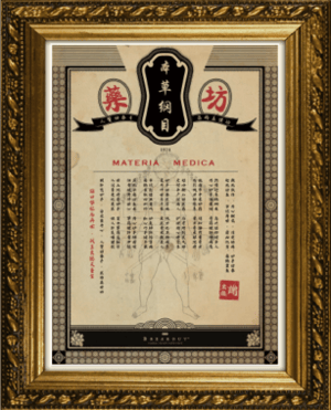 store/s/b42d0c67-6b6b-4e1d-8bbc-197c82a0c0de.png