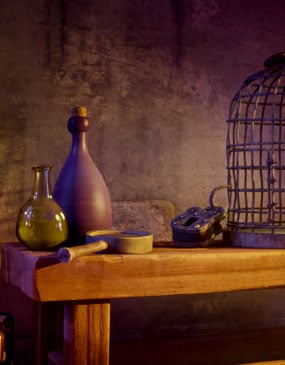 store/s/b48d8e0a-291b-4654-973e-fa5480d40f2b.jpg
