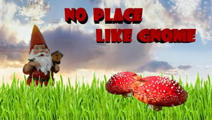 store/s/b5f6e9b2-10e0-4fdf-9753-39a51a93677f.webp