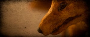 store/s/b878fd46-a4bc-4589-8db5-442558486c74.jpeg