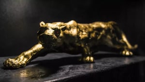 store/s/b8bac819-fd2f-4928-8229-3083ec6a8291.webp