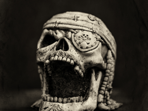 store/s/bacf36a6-3957-4ba1-b861-f90fc41ee86f.png