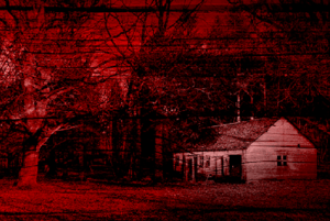 store/s/bb9356e4-d593-4829-88e3-7f785f1b1a99.png