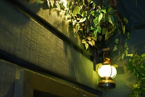 store/s/bba6a7d0-9e23-45d7-831e-50b7ccc244c6.jpeg