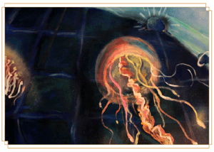 store/s/bbfe8c31-3ef3-4a18-8512-64afd95e84a4.png