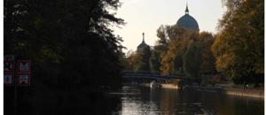 store/s/bc0730da-bdaf-438f-8339-a7b08d1840de.jpeg