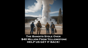 store/s/c3e8f3cc-dc7d-4aba-a241-b94fec532a5d.png