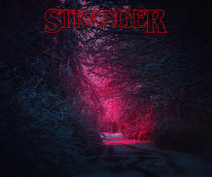 store/s/c4d7ed18-28e9-4884-b141-1cff939cd66e.webp