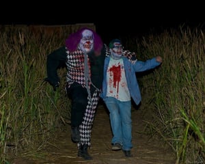 store/s/c896799a-bf3c-4be8-b129-6de9fcf5290f.jpg