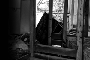 store/s/c992020f-3228-4173-a651-c48572745168.png