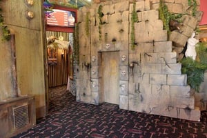 store/s/ca8fdf000f006fb9a7e114ad4fea6e2d.jpg