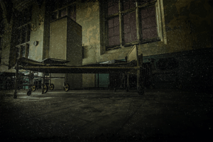 store/s/cae273a5-a90e-45da-8e3e-7410911151b3.png