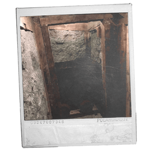 store/s/cb743305-0b48-4aa0-84dd-d25e7b2cde8b.png