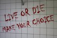 store/s/cbbf0f6a-2186-495d-9573-641179bcf5d5.jpg