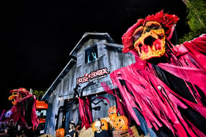 store/s/cca03410-5f49-4638-8490-3f6365b28d09.jpeg