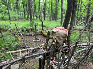 store/s/cdf0869a-ff7e-4965-bc74-91b9c4966709.jpeg