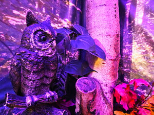 store/s/cf283eb8-85f1-40a6-be7d-3a6551f33dcf.png