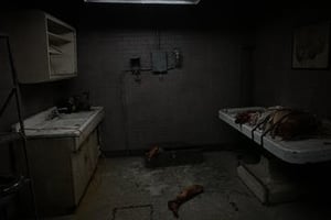store/s/d0395372-3b9a-4136-bbb8-bd2488ceb167.jpg
