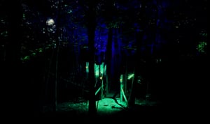 store/s/d0945166-39ab-4b5c-92f7-2f364c663f92.png