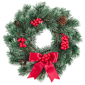 store/s/d0a63066-f3b9-46c8-b77f-c229b99894d9.png