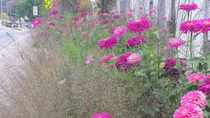 store/s/d145417d-efee-48ac-ac1c-49ca3270d4b1.jpeg