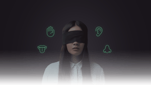 store/s/d2bbd6c1-1641-4f72-8840-3f71594857e6.png