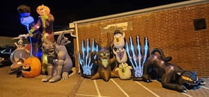 store/s/d3a99dd6-09e7-4589-9434-1c6090bf3fb4.jpg