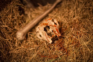 store/s/d675fcc7-e0ba-407f-b039-1d3aff124dd3.jpg