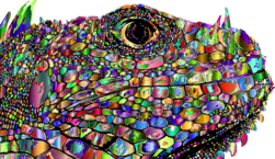 store/s/d813f80a-df95-4fd3-a6a4-149ebd73190d.png