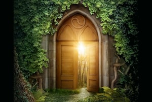 store/s/db828d6c-7c9b-4005-989e-61180f037d7b.png