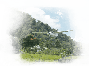 store/s/dbc834ce-dacb-42f8-80d0-a6fbdedce3fc.png