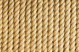 store/s/dcaad422-dae5-47ab-8ce6-d3c1aa5efc6a.jpeg