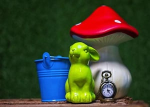 store/s/dce4b05b-8eb6-48ef-ad2d-d82eaddeecc5.jpg