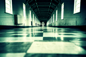 store/s/dd882a5a-815f-4ddb-8e55-37bbe538d951.png