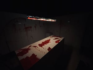 store/s/ddf1c7c7-a9bd-47d8-8642-2b26ca6e6d18.jpg