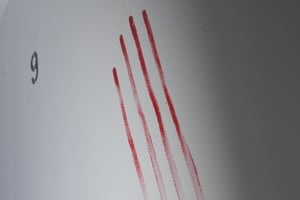 store/s/df0a6a5d-d6d5-434d-869b-2fe761918445.jpeg