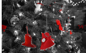store/s/dff6fee9-f36e-4de2-8229-98f083ca5824.png