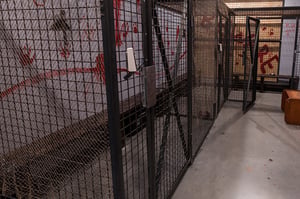 store/s/e0262e09-bcec-4d53-b4f9-84858824a544.jpg