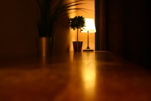 store/s/e0ded1f2-49b6-4696-bece-366da8cf4bac.jpg