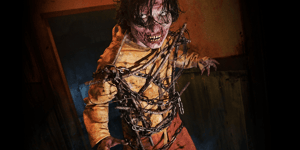 store/s/e175380e-1e85-426e-8773-2e8d265f7991.png