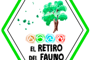 store/s/e1cf5c0d-708d-46dd-ac26-5b70b631aca1.png