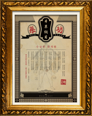 store/s/e2bb696c-e2a2-49c5-b4b5-5696f58d0d19.png