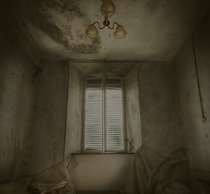 store/s/e3125abe-fe22-4992-8d47-702f1539c71c.jpeg