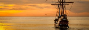 store/s/e5848785-62d6-451b-b69f-df5fa6776b05.jpeg